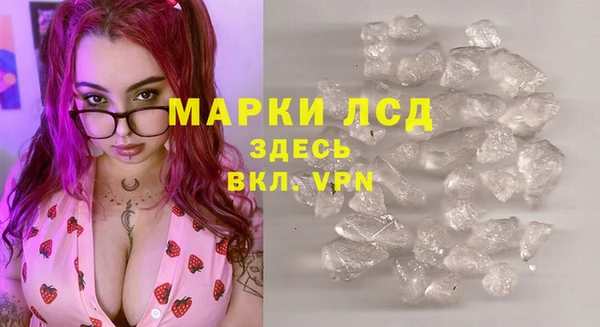 сатива Горняк