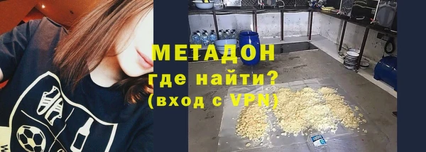 сатива Горняк