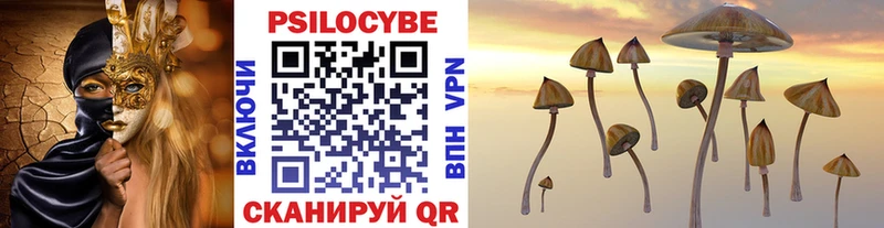 Псилоцибиновые грибы Magic Shrooms  Горно-Алтайск 